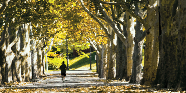 How an Incentive Trust Can Influence Your Heirs